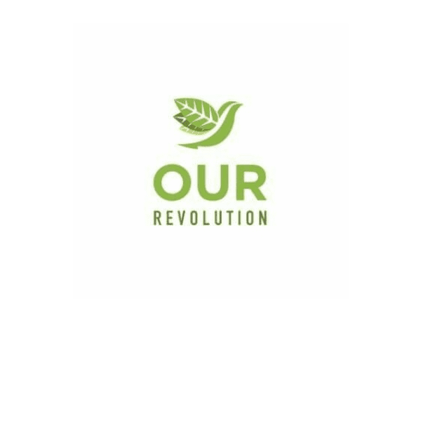 our revolution greenville